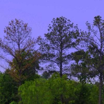 火狐官网手机app下载