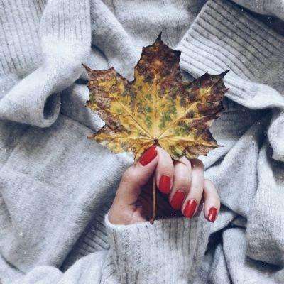 半岛·体育综合APP下载截图