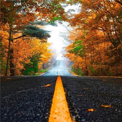 开全站登录app下载手机版