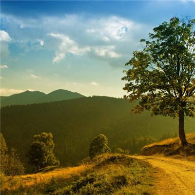 全民彩票app下载